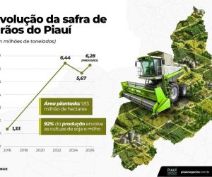 Evolução da safra de grãos do Piauí