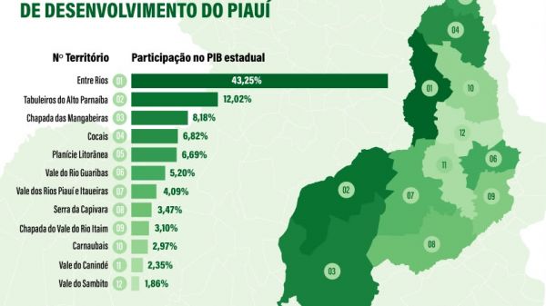 Participação do PIB, em percentual, nos 12 territórios de desenvolvimento do Piauí